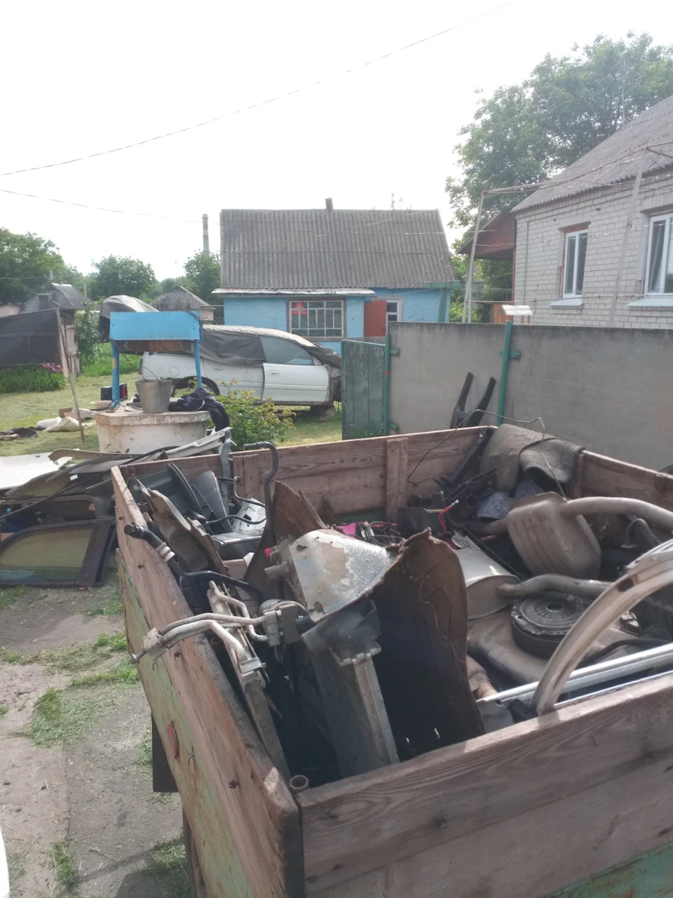 Трішки донорських бруньок