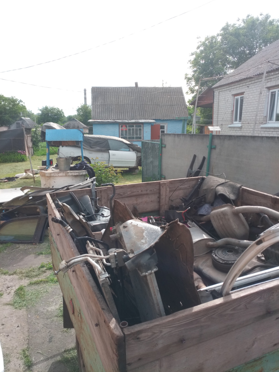 Трішки донорських бруньок 1