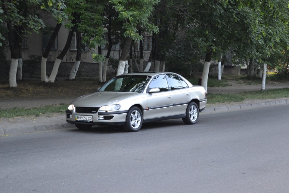 Дівчата люблять фотографуватися :) 2