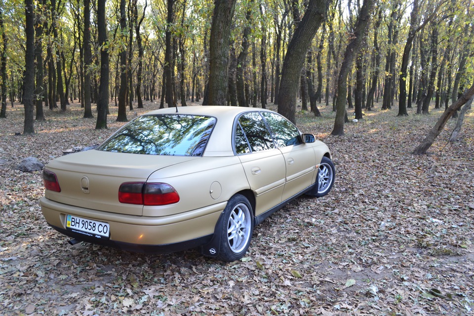 Результат, фотки 4