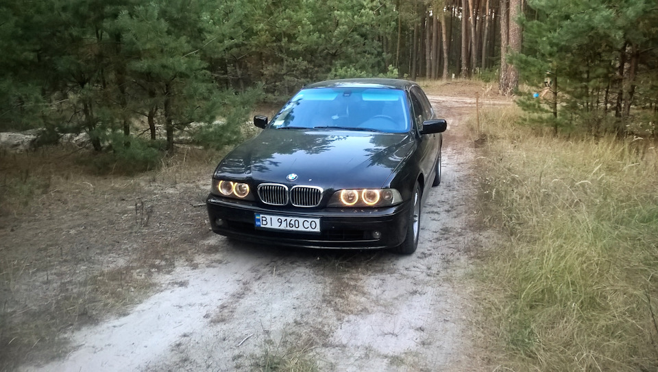 Гідна заміна 1