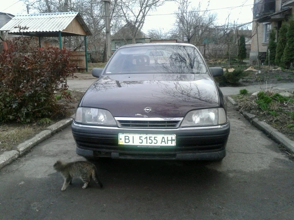 Плани, плани, плани