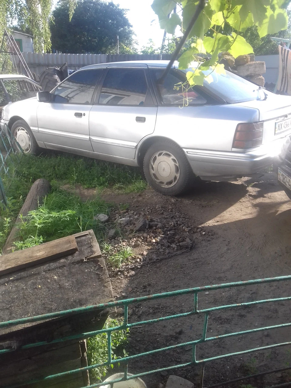 Тимчасовий гість