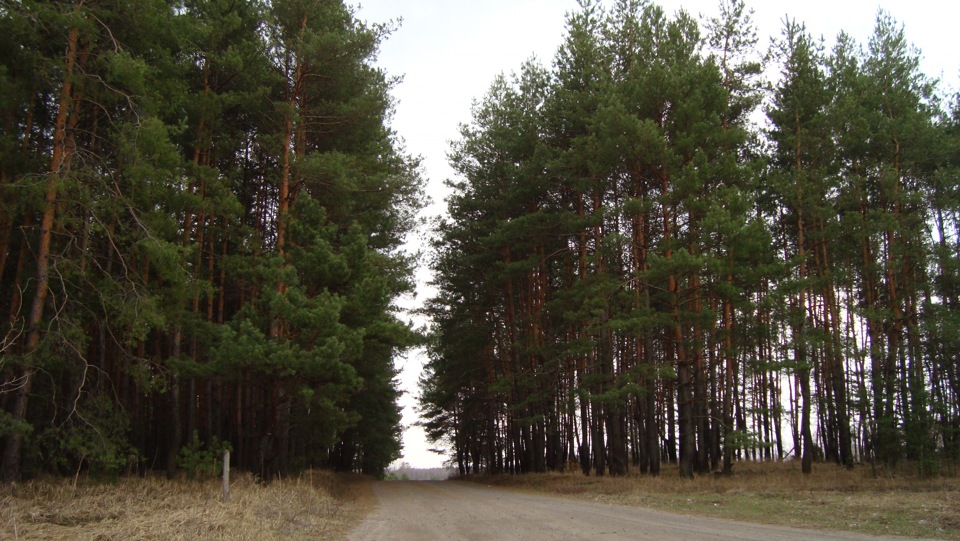 поїздка до Сум 4