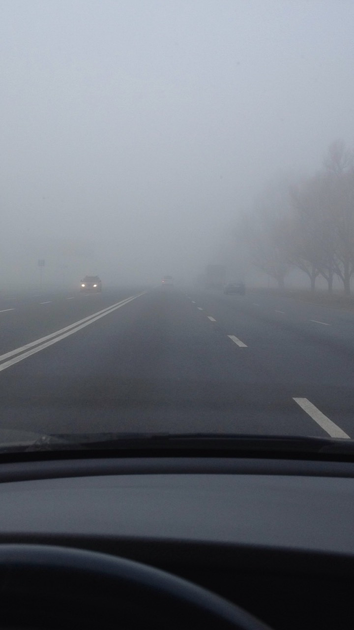Туман або перепис дибілів на дорозі 1