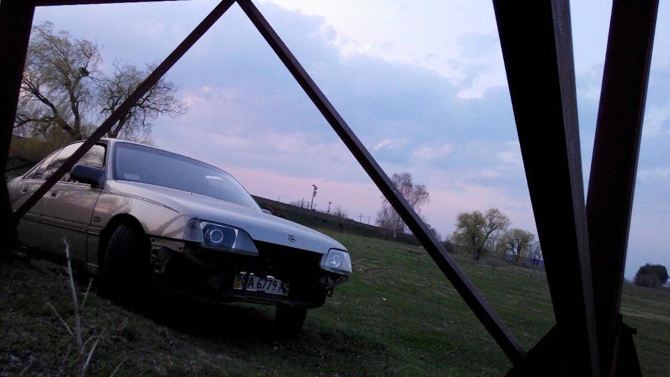 Чіповка 1