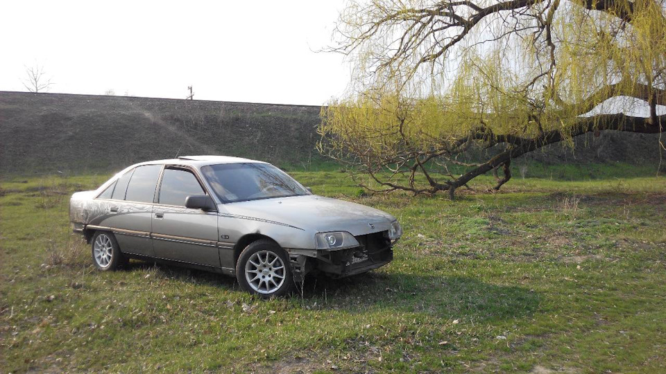 Чіповка 2