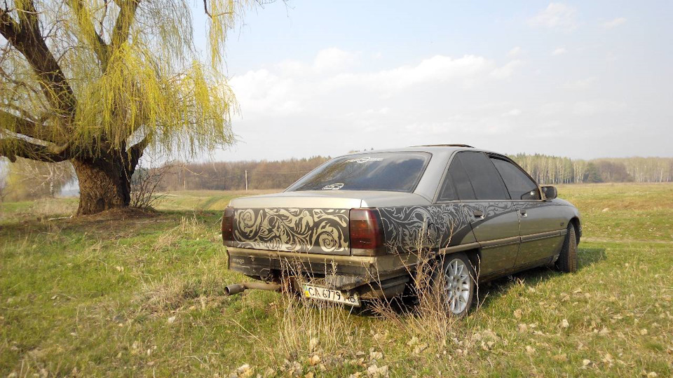 Чіповка 3