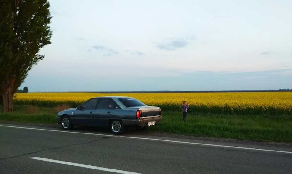Життя Омежжа 3