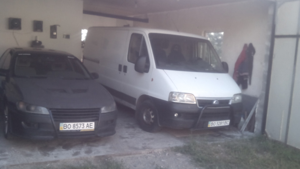 Новий друг у RVD GARAGE 1