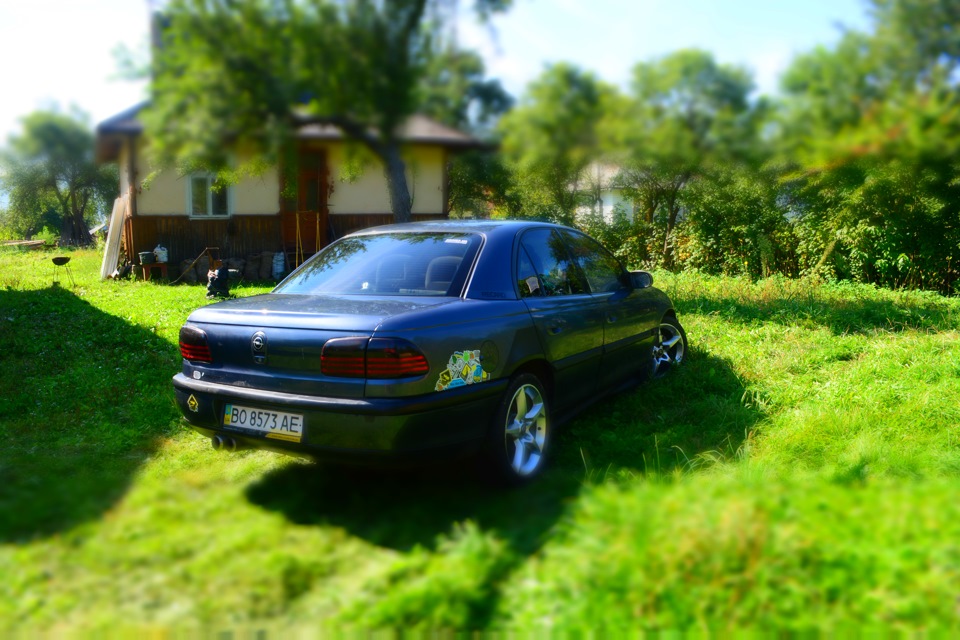Пару фоток 4