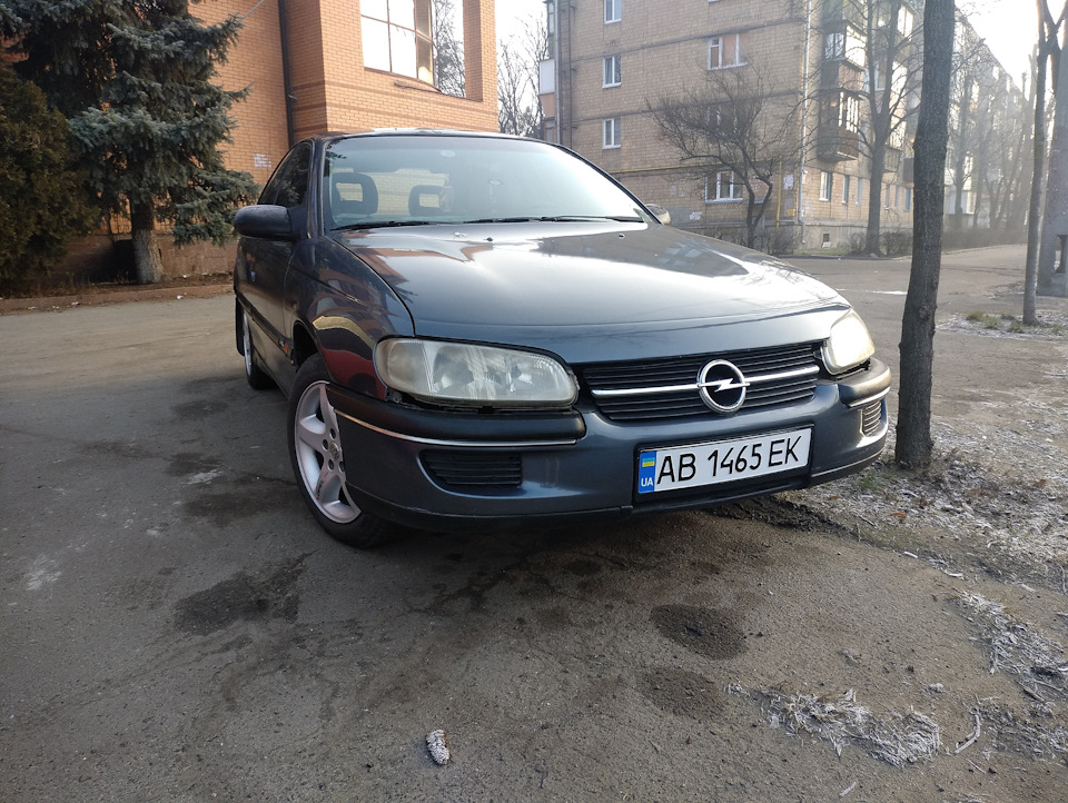 Розтин показало… 4