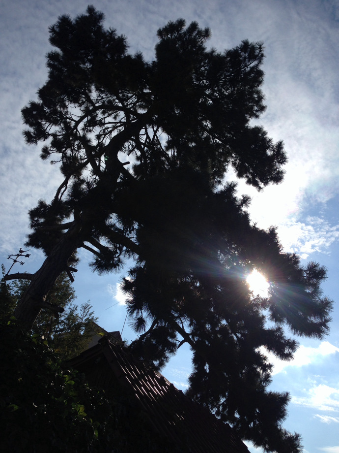 Новий акумулятор 3