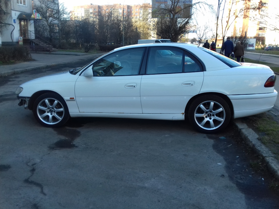 Тришло тепло, прилетіли птахи :) 2
