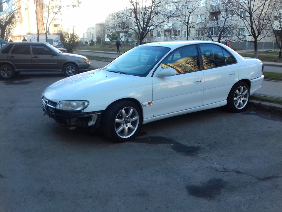 Тришло тепло, прилетіли птахи :) 3