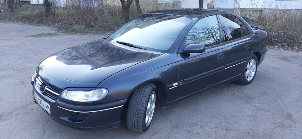 Нові фото після миття 5