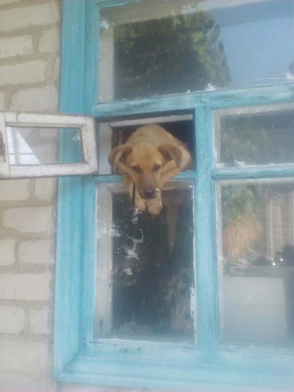 Бій з кермовим 1