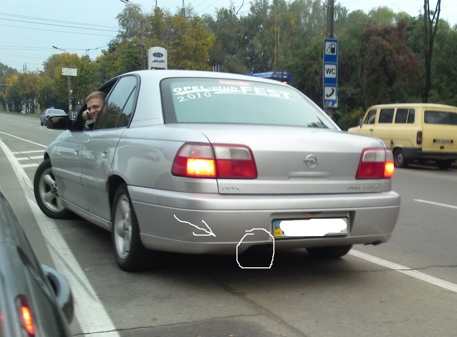 На природі( 4