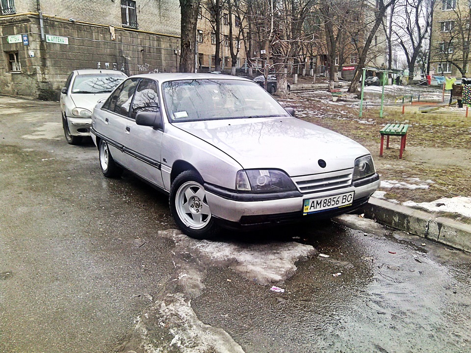 Модно і в тренді: миття з відра :) 1