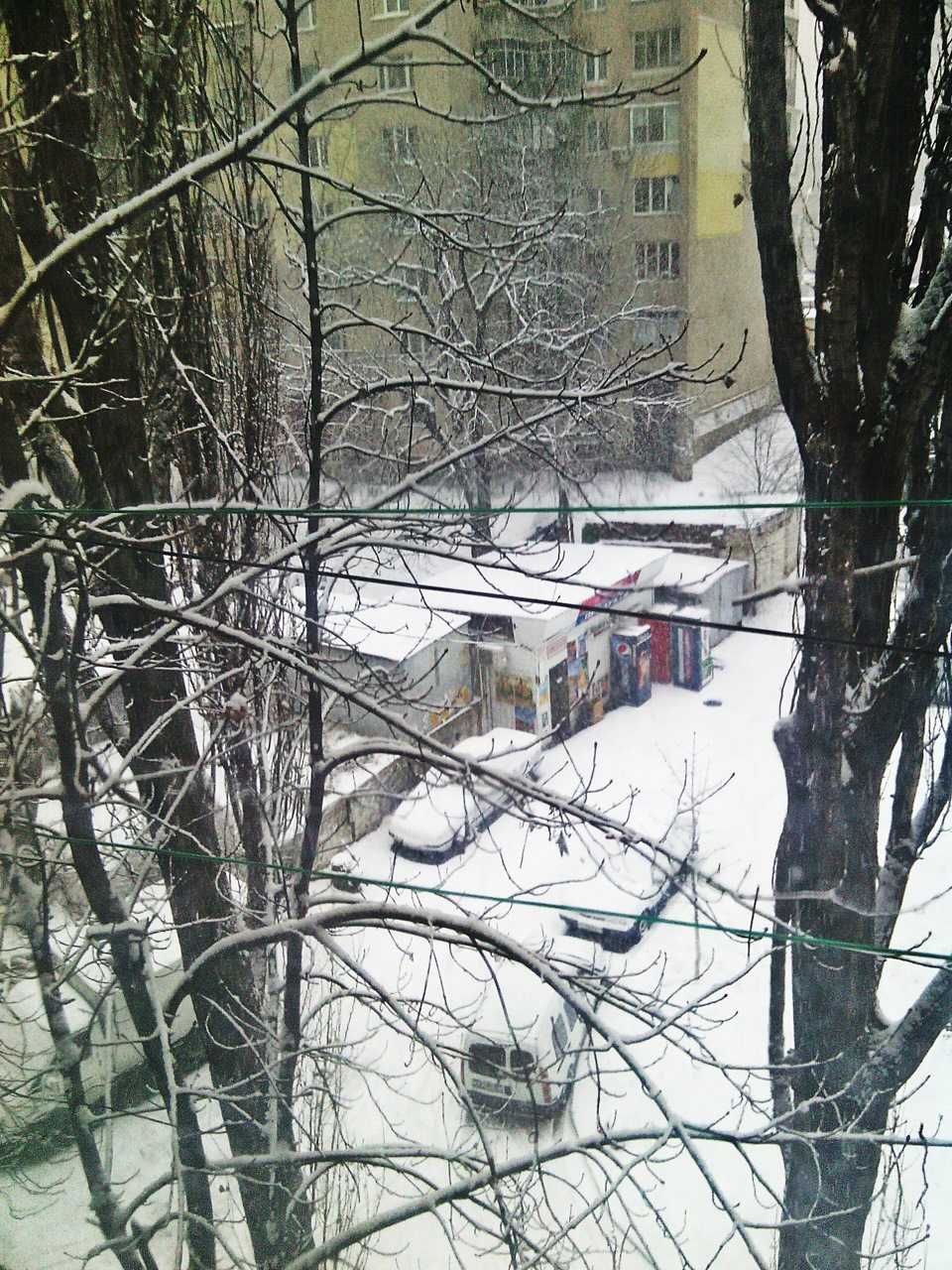 З першим снігом! :) 1