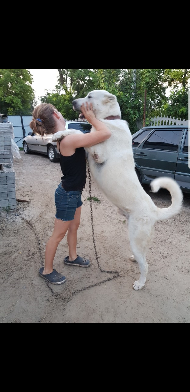 Сітка 4