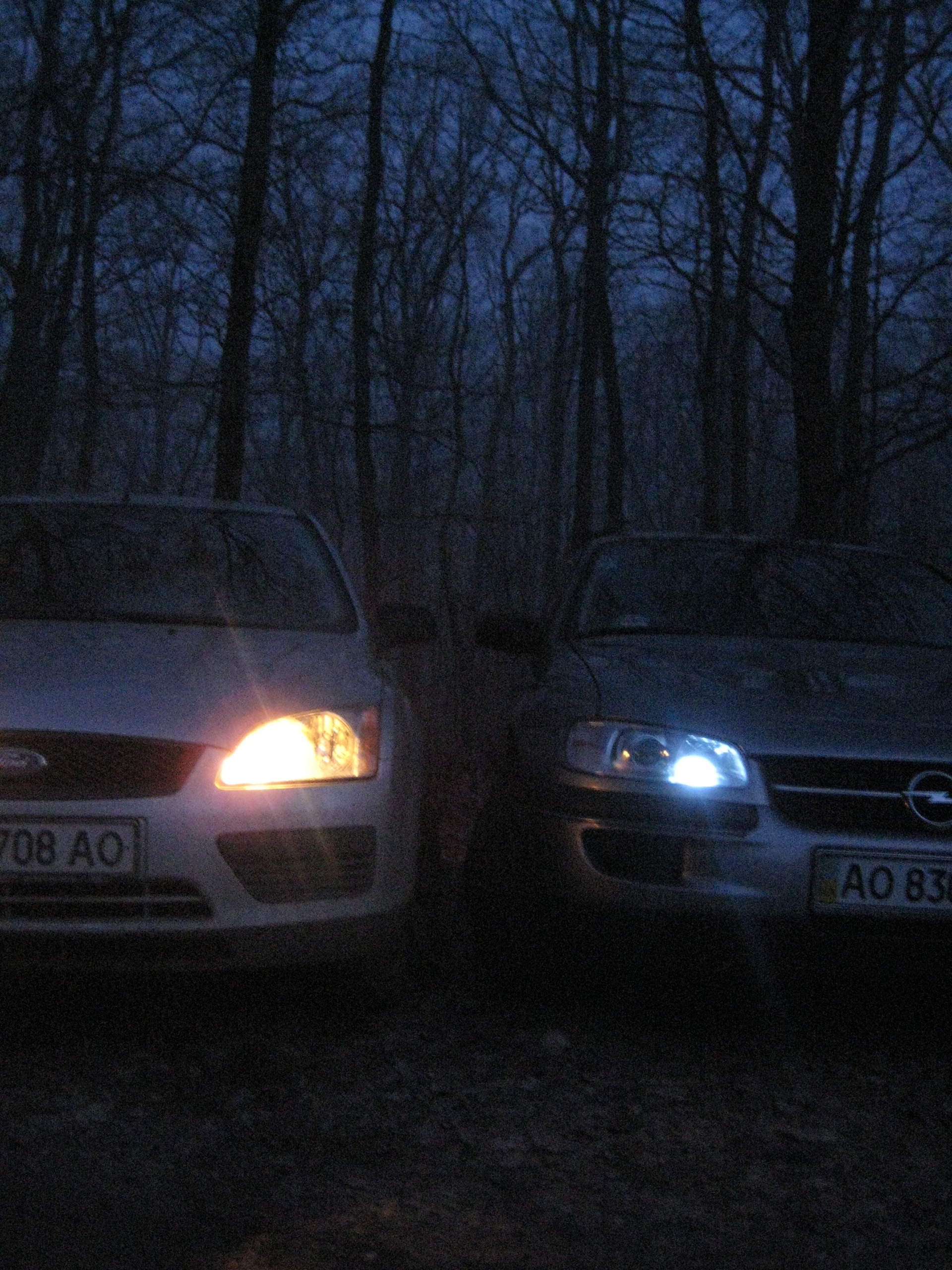 Фотосет №2 Omega & Focus 4