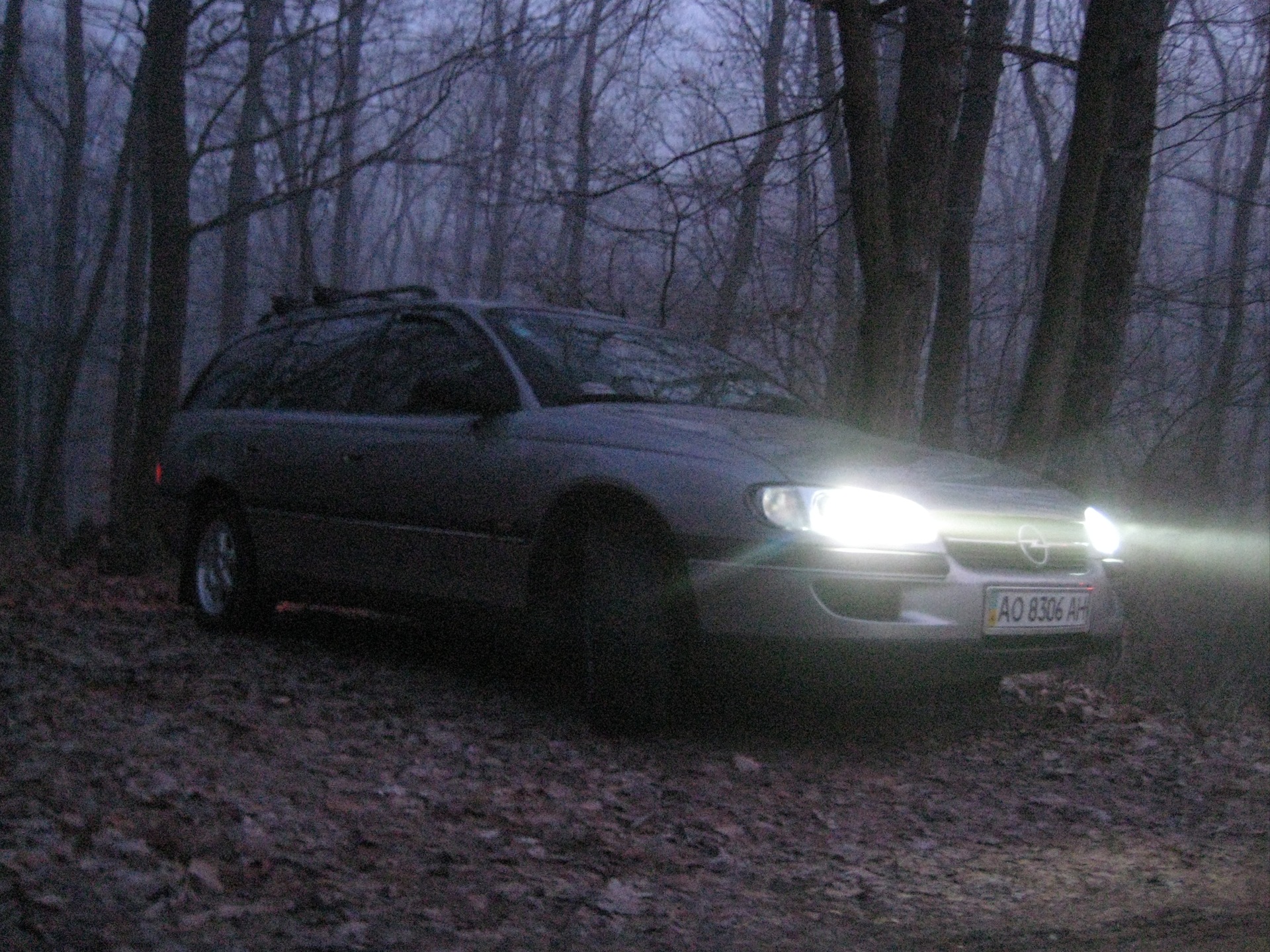Фотосет №2 Omega & Focus 5