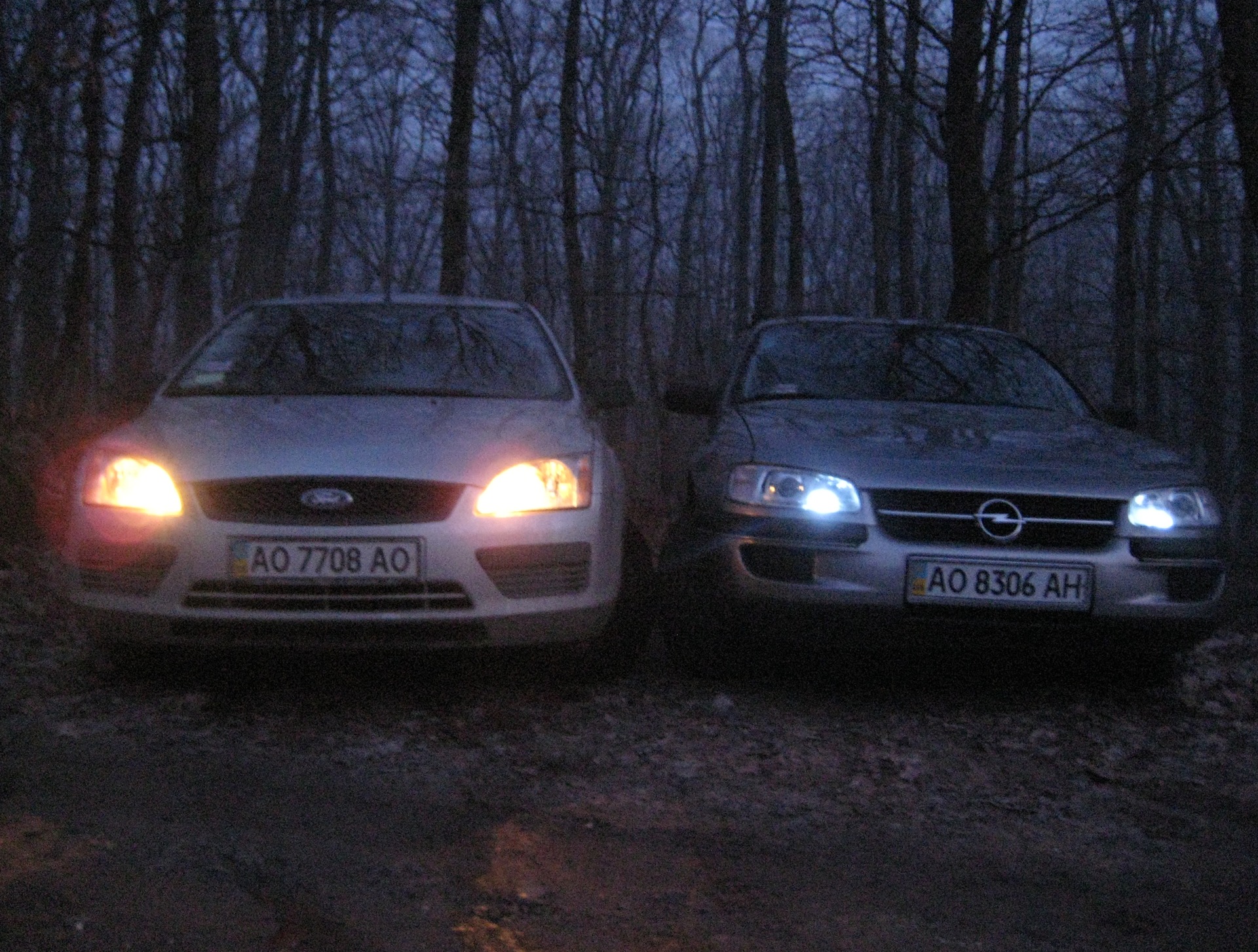 Фотосет №2 Omega & Focus 3
