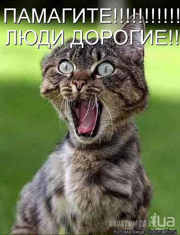Мороз ногиврот(ЦЗ) 1