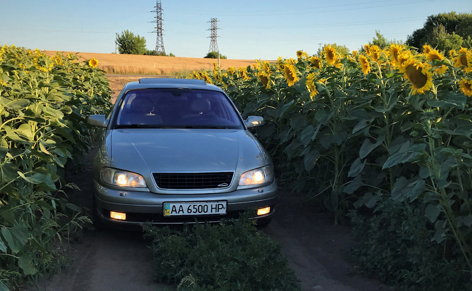 Все-таки irmscher)) 3