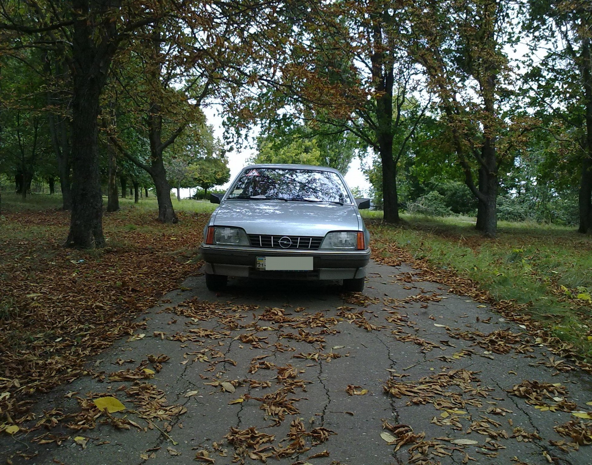 Осінь!) 1