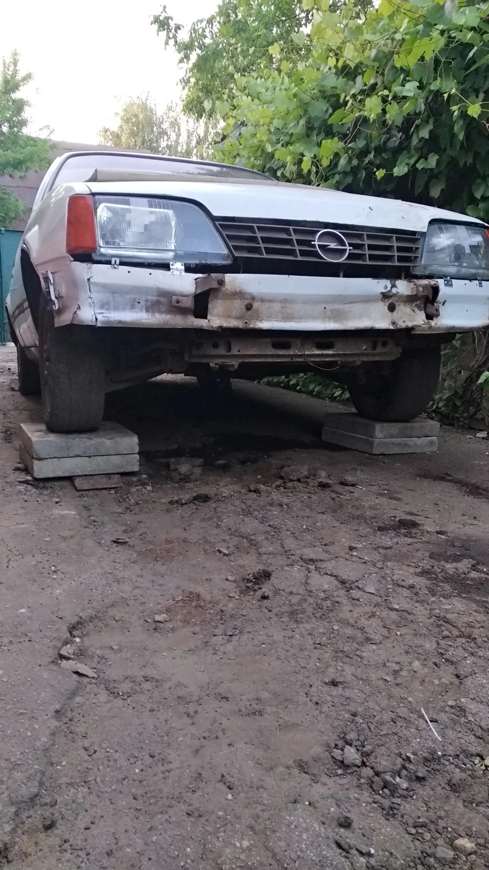 День шостий.