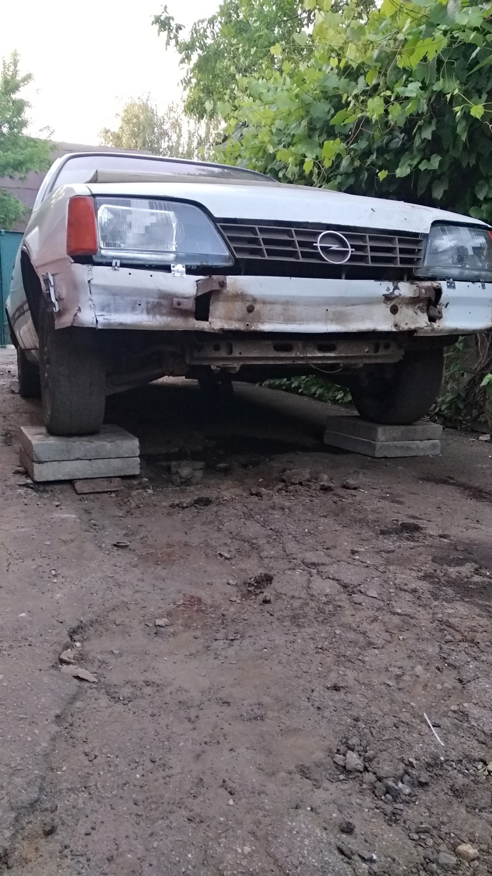 День шостий. 1