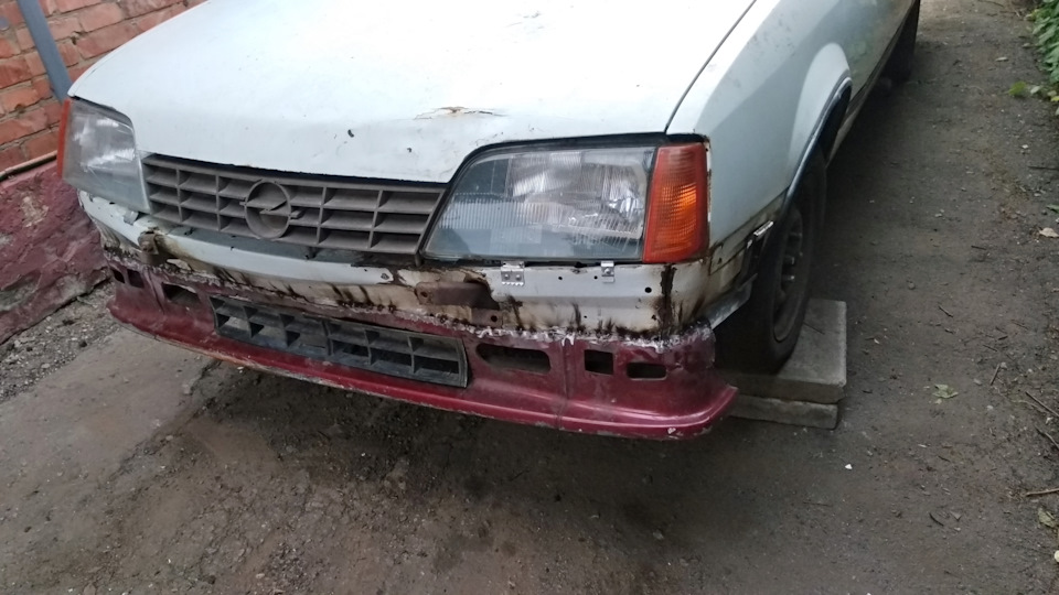 День шостий. 5