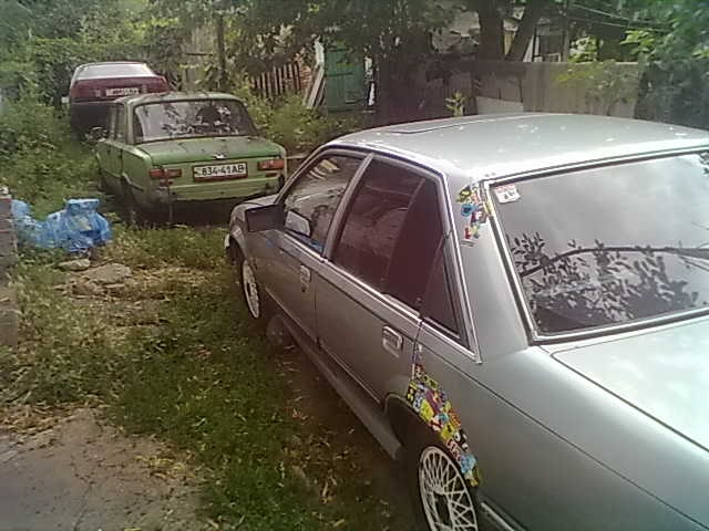ВСЕ КОНІ У СТОЙЛІ)) 1
