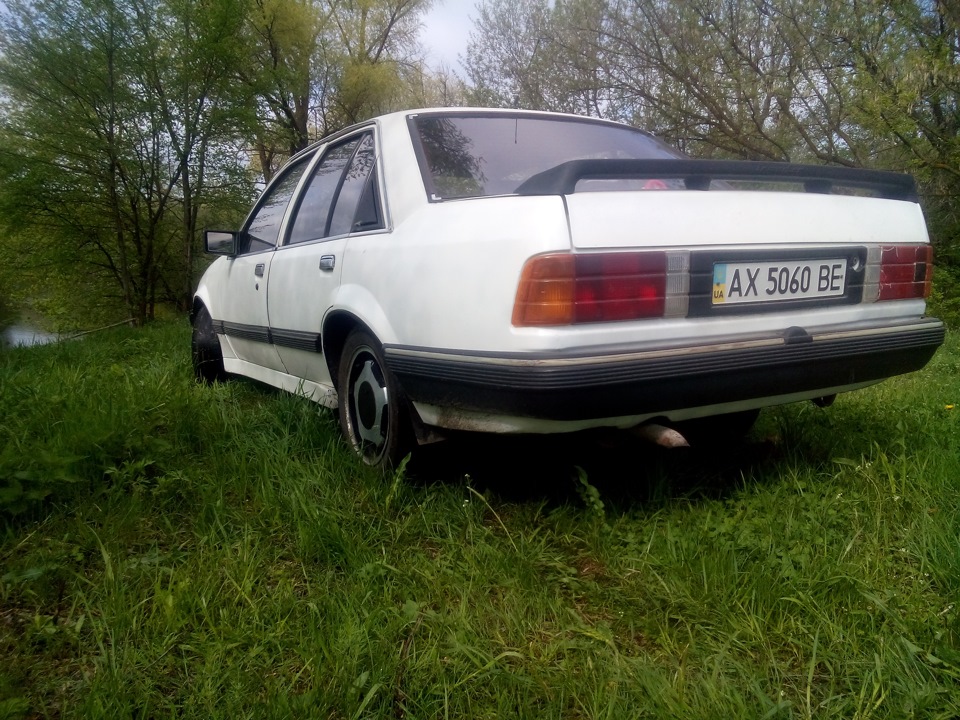 ірмшер на природі)) 4