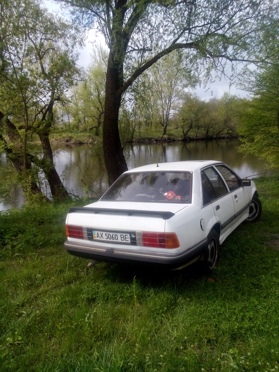 ірмшер на природі)) 3
