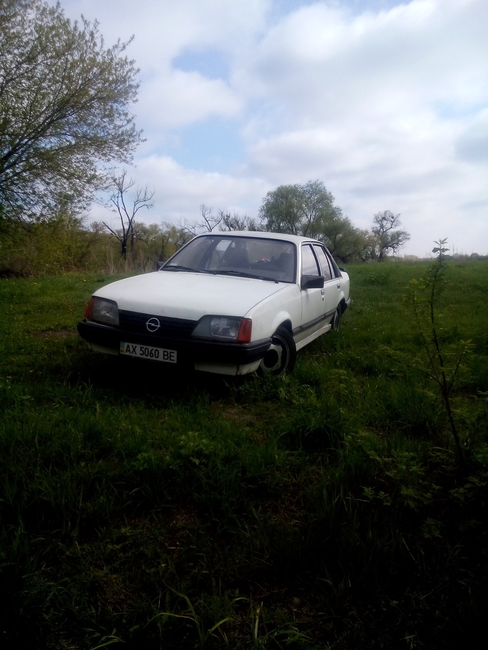 ірмшер на природі)) 2