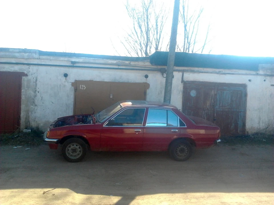 Виштовхав Рекса з буди)