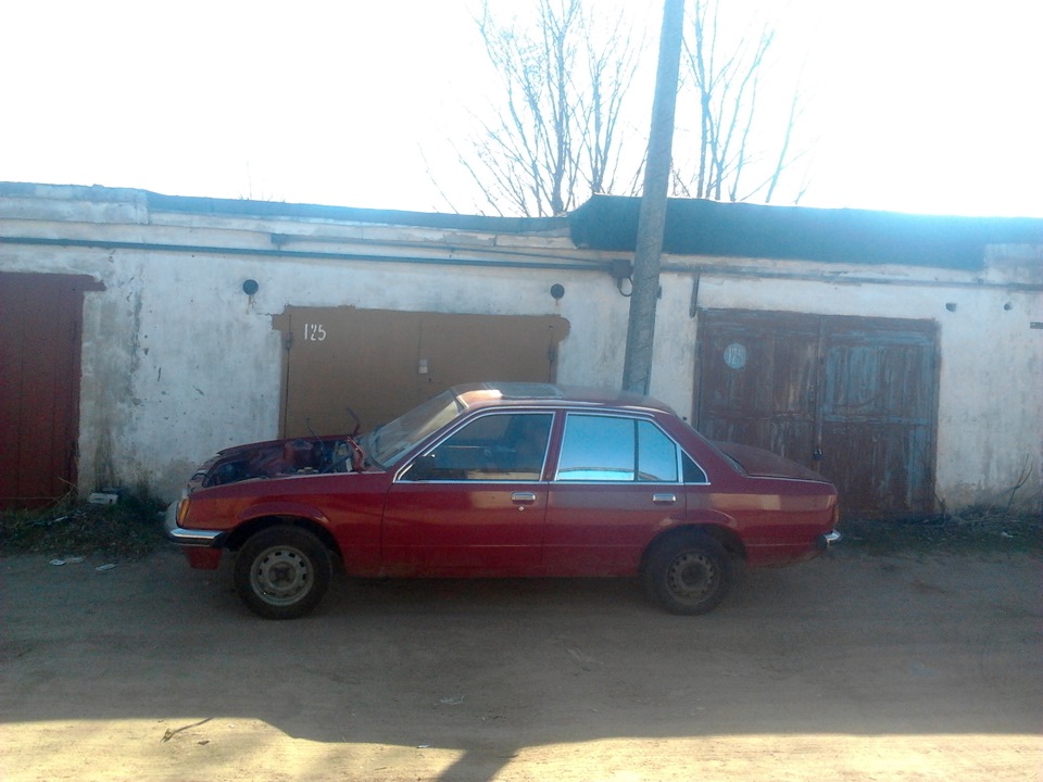 Виштовхав Рекса з буди) 1