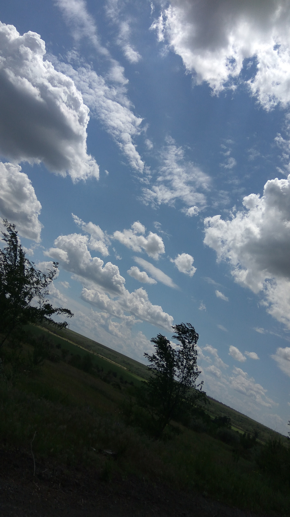Фотосет в останній день весни. 5