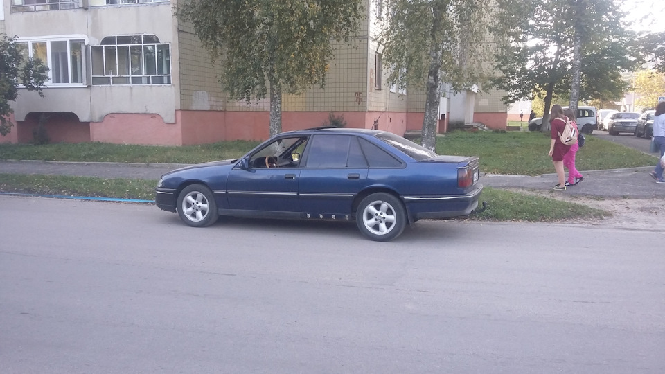 завели звіра 5