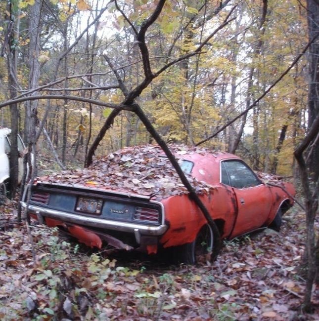 безгоспні КРАСОТКИ2 5