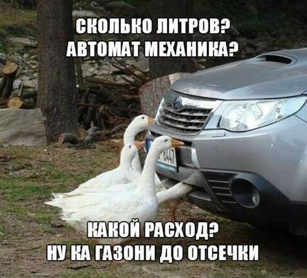 Підготовка до зими 5