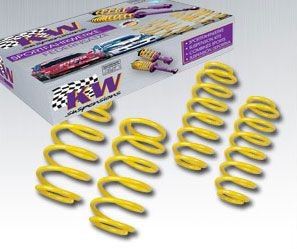IDS+ в топку, або замовлення Bilstein+KW 2