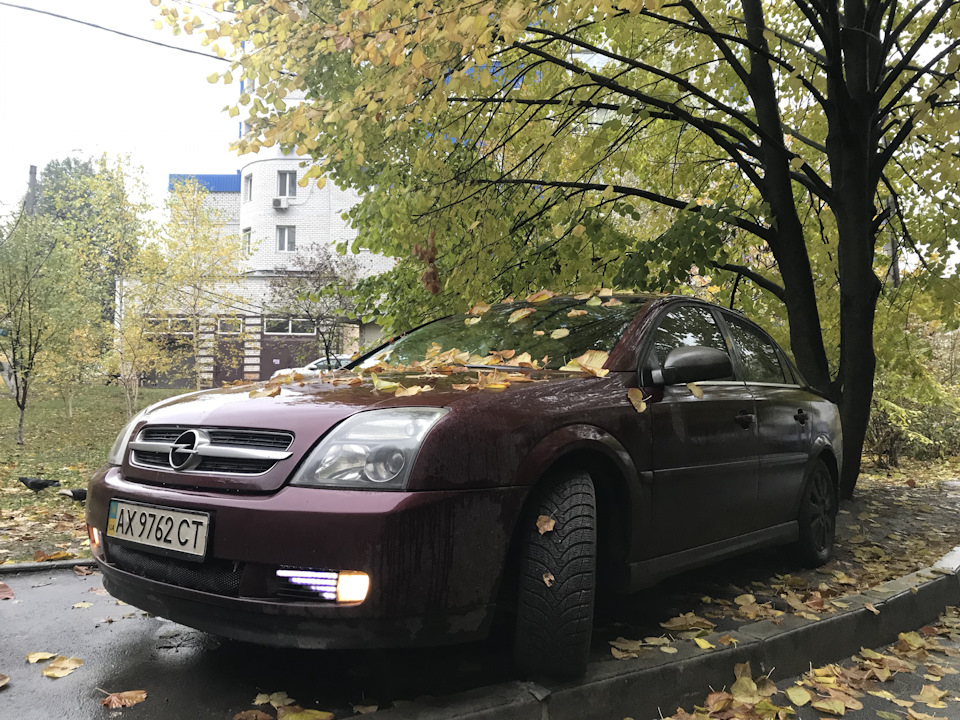 Осінні фото 2