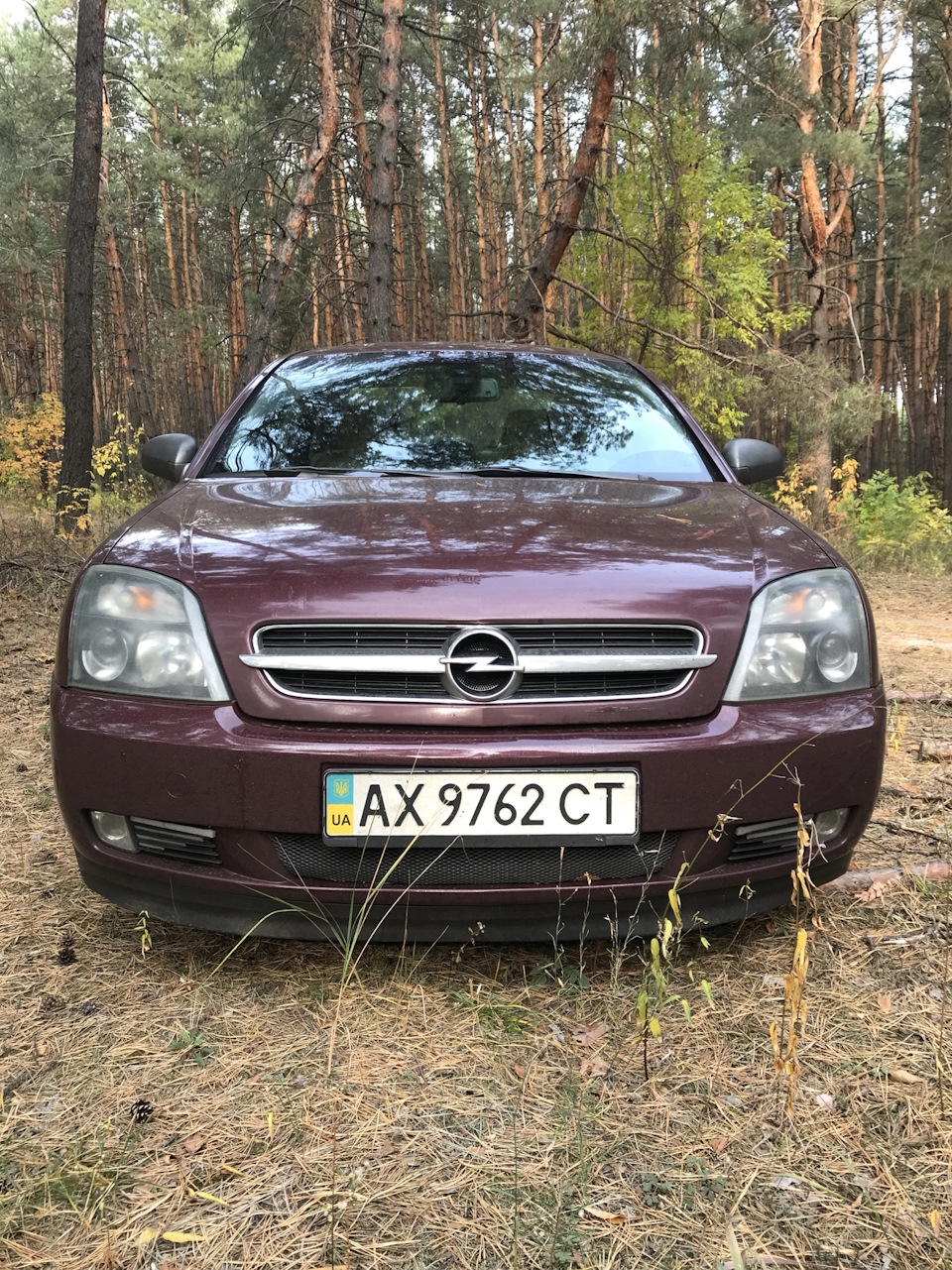 Прогулянка лісом! І трохи нових друзів… 2
