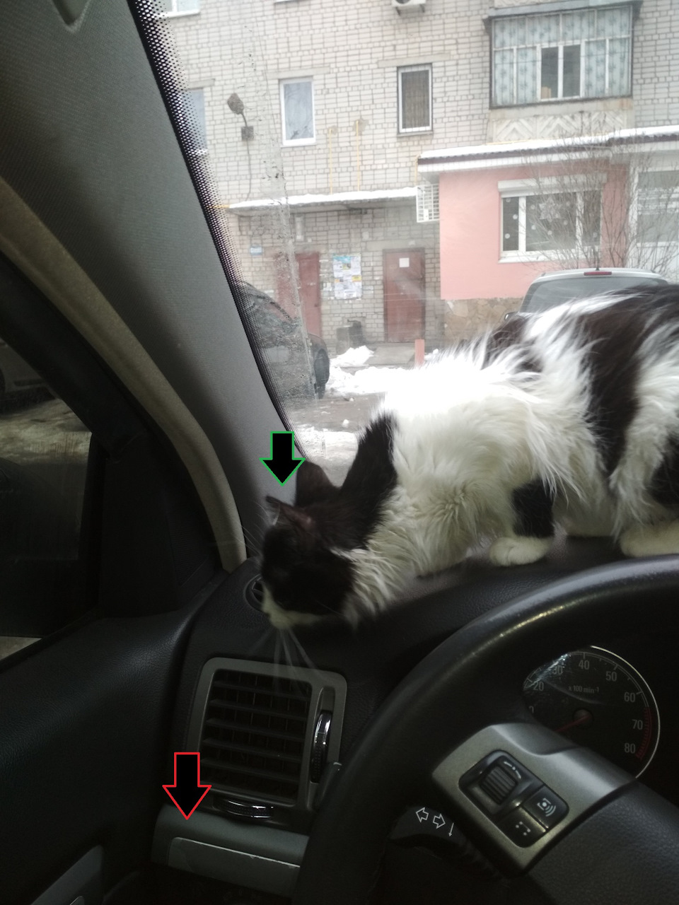 16. Антиколгосп! Продовжуємо рятувати салон. 2