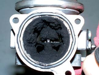 EGR 1