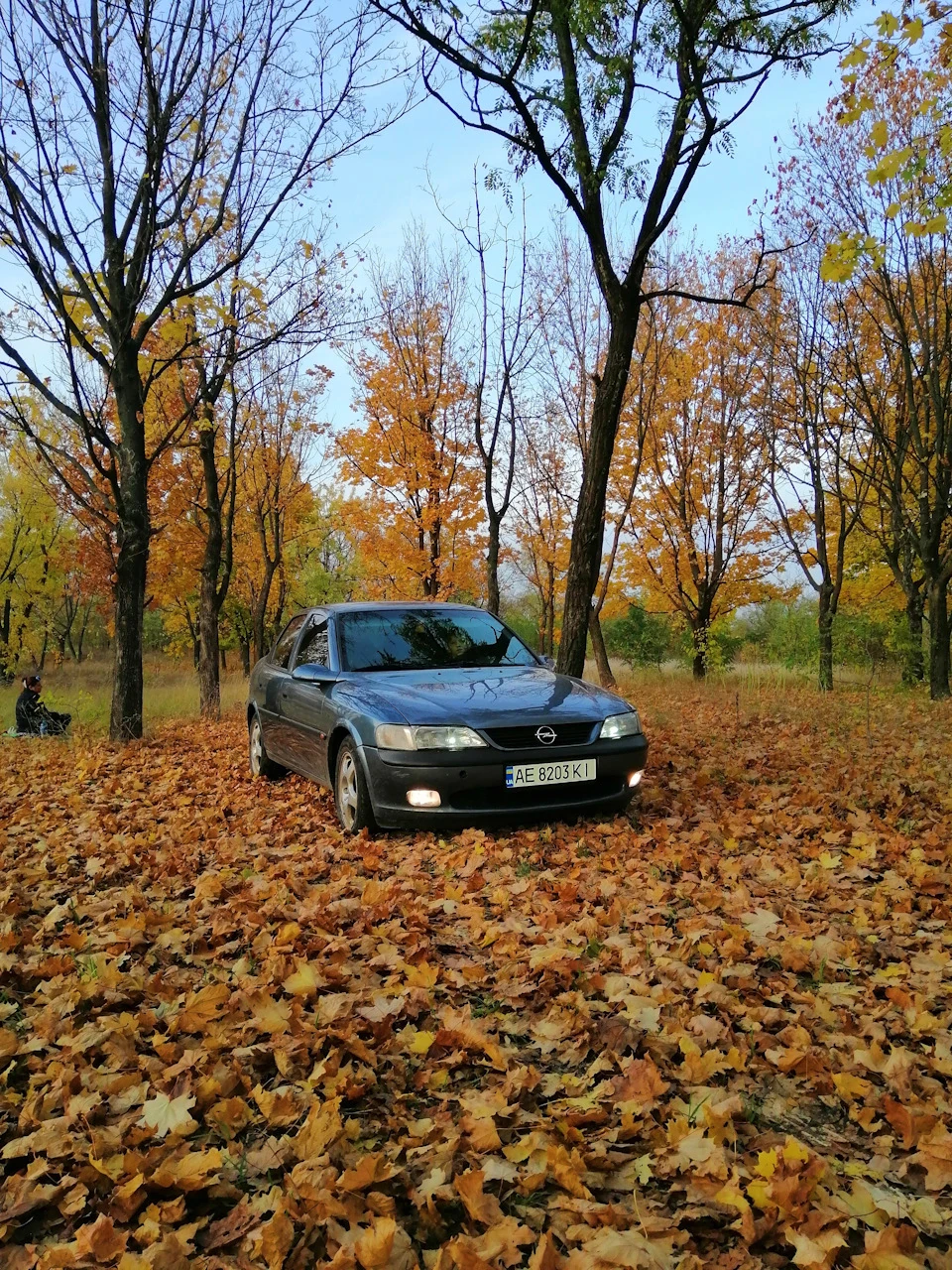 Осіння прогулянка)))